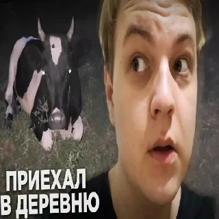 Sticker from 5орка Превью
