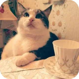 🐱 emoji хомяки ебта и тд @lieawe Telegram sticker 22 of 118