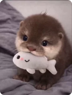 🌟 emoji хомяки ебта и тд @lieawe Telegram sticker 20 of 118