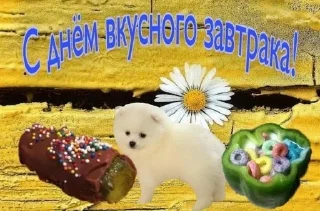 Sticker from Поздравляю