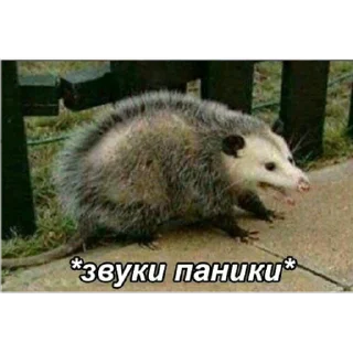 🤯 emoji На случай важных переговоров Telegram sticker 11 of 110