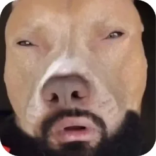 🌟 emoji Автор скрыт Telegram sticker 1 of 50