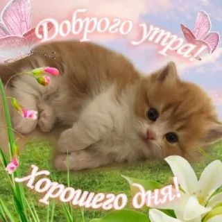 ☀️ emoji котеке Telegram sticker 7 of 69