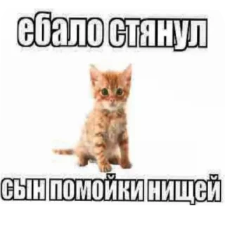 🖕 emoji для лохов (^○^) Telegram sticker 10 of 46