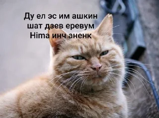 🤨 emoji matevosyan Telegram sticker 6 of 58