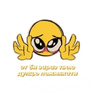 Sticker from ну а що казати.. @ashchokazatynuhuy