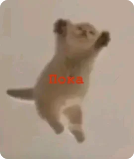 Sticker from Хлебний мякиш