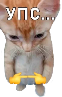 🌟 emoji cats Telegram sticker 7 of 14