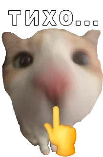 🌟 emoji cats Telegram sticker 9 of 14