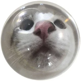 🌟 emoji котик Telegram sticker 11 of 35