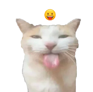 Sticker from cats