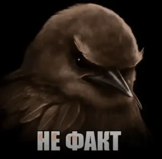 🌟 emoji птички 🦜 @drlkssixc Telegram sticker 15 of 99