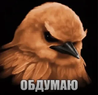 🌟 emoji птички 🦜 @drlkssixc Telegram sticker 11 of 99