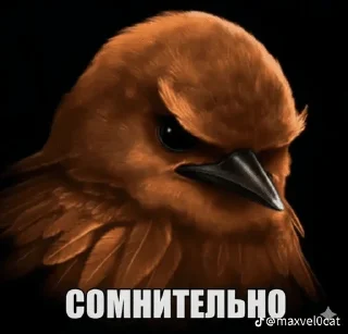 Sticker from птички 🦜 @drlkssixc