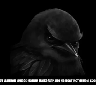 🌟 emoji птички 🦜 @drlkssixc Telegram sticker 22 of 99