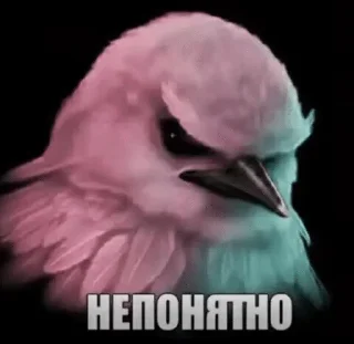 🌟 emoji птички 🦜 @drlkssixc Telegram sticker 19 of 99