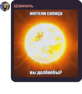👍 emoji чат котиков¿ Telegram sticker 16 of 51