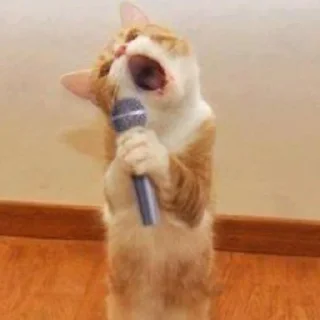 😹 emoji Велл любит котиков Telegram sticker 7 of 24