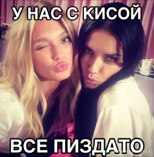 😸 emoji твоя чикуля м Telegram sticker 15 of 53
