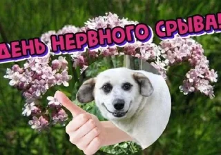 🎉 emoji ебучий стикерпак Telegram sticker 15 of 98