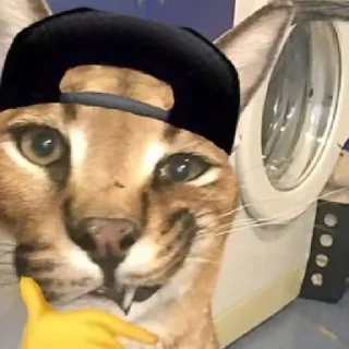 🌟 emoji уШлепок Telegram sticker 7 of 50