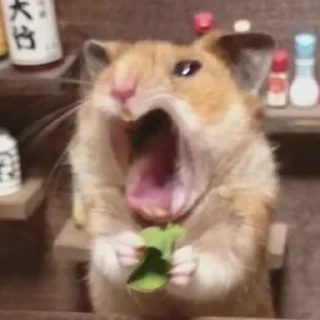 🌟 emoji Типо жиза Telegram sticker 24 of 115