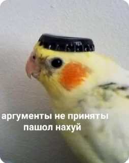 🌟 emoji меми за 1 касарь айкью наліка Telegram sticker 20 of 45