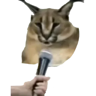 🤥 emoji Большой Шлепа @trafslybot Telegram sticker 9 of 25
