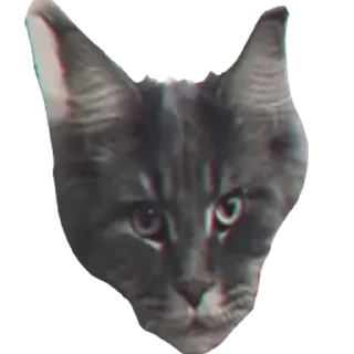 🗿 emoji Большой Шлепа @trafslybot Telegram sticker 6 of 25