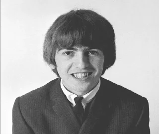 🪲 emoji Beatlemania @quincyendicott Telegram sticker 13 of 117
