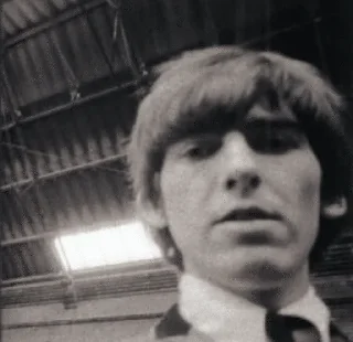 🪲 emoji Beatlemania @quincyendicott Telegram sticker 14 of 117