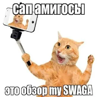 😎 emoji Привет! Я использую WhatsApp ➡️ Telegram sticker 20 of 52