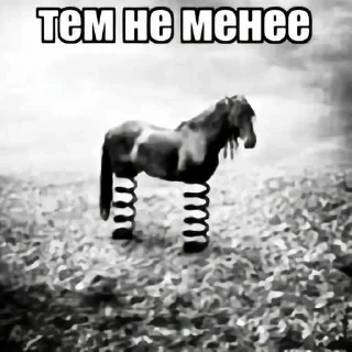 😳 emoji Привет! Я использую WhatsApp ➡️ Telegram sticker 22 of 52