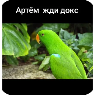 👍 emoji Жди докс Telegram sticker 5 of 9