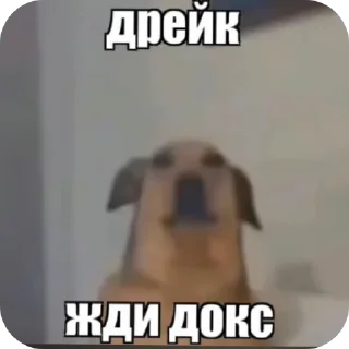 👍 emoji Ждите докс Telegram sticker 24 of 28