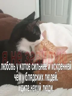 🙂 emoji стики от @fruktokhranilishte Telegram sticker 9 of 114