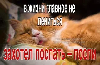 😴 emoji стики от @fruktokhranilishte Telegram sticker 5 of 114