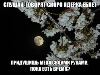 🥺 emoji дядя вова Telegram sticker 13 of 120