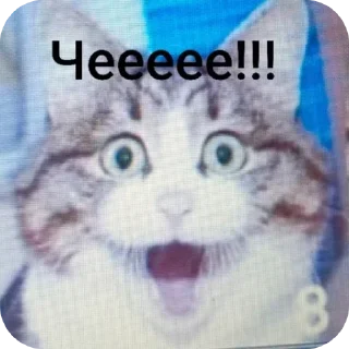 😳 emoji Котики ня Telegram sticker 8 of 76