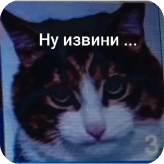 😥 emoji Котики ня Telegram sticker 6 of 76
