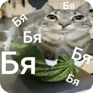 😗 emoji Котики ня Telegram sticker 13 of 76