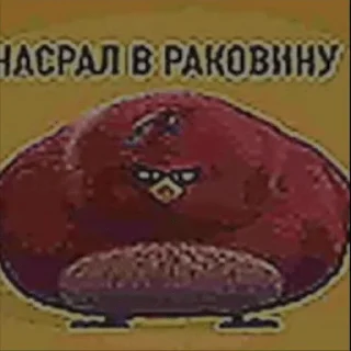 Sticker from мега набор мемов