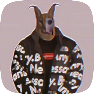 😁 emoji Floppa_gif Telegram sticker 6 of 14