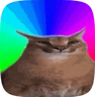 Sticker from Floppa_gif