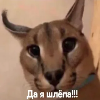 🛸 emoji Шлепка | by @pblins Telegram sticker 13 of 16