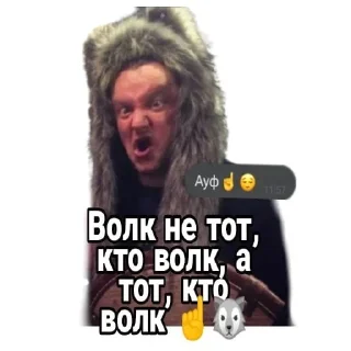 🐺 emoji Король И Шут Telegram sticker 18 of 100