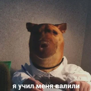 🤓 emoji бб1❤️‍🔥 Telegram sticker 7 of 119