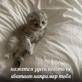🥺 emoji бб1❤️‍🔥 Telegram sticker 22 of 119