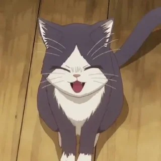 🐈 emoji ᕼᗩᖇᑌ♧︎︎︎ - @qwentymio Telegram sticker 6 of 120
