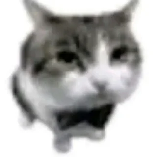 🤵 emoji Кидс Telegram sticker 17 of 48